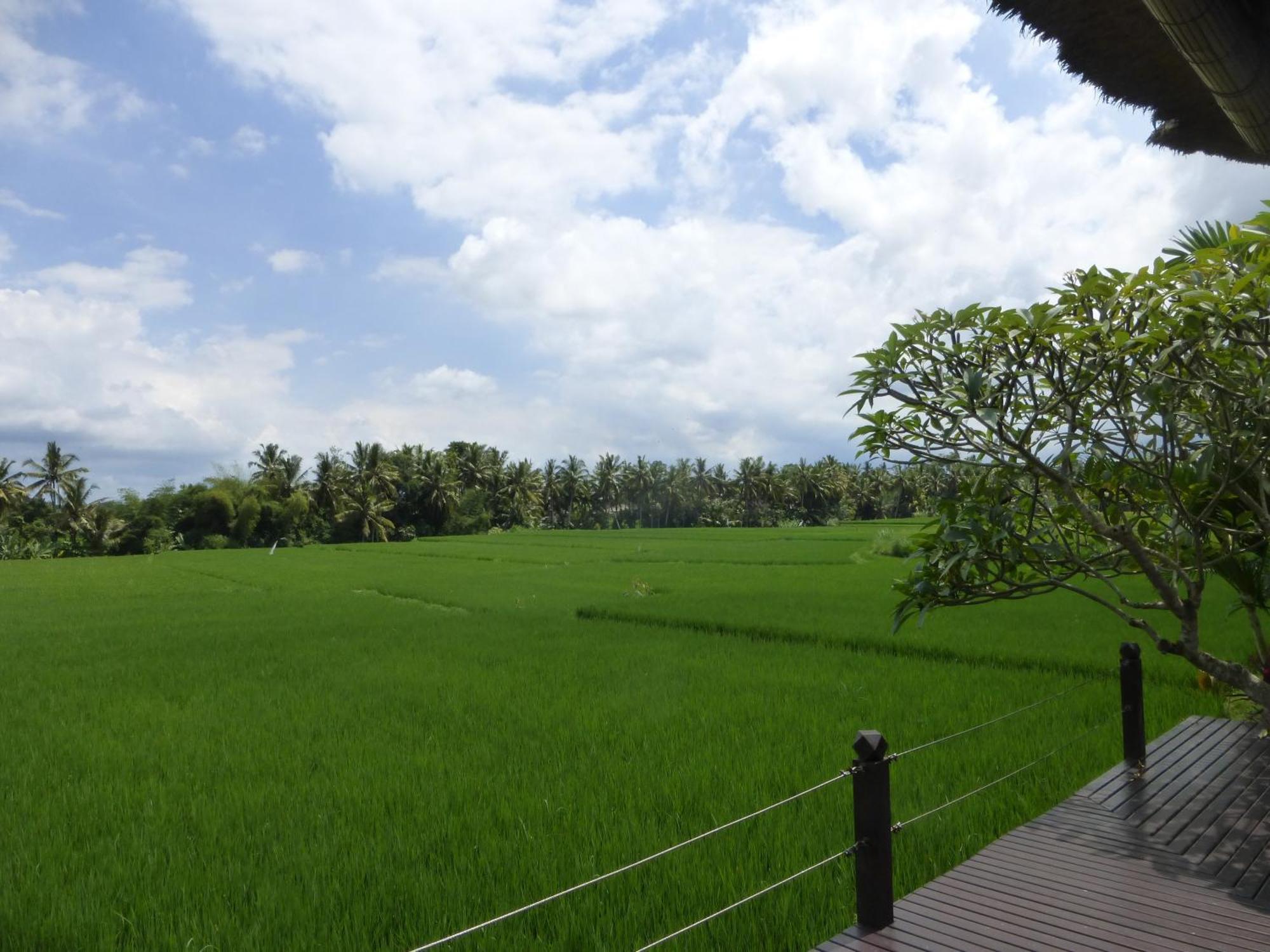 Bali Harmony Villa Ουμπούντ Δωμάτιο φωτογραφία