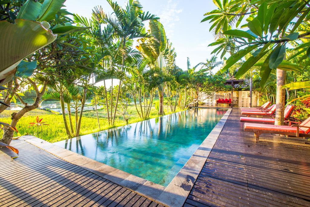 Bali Harmony Villa Ουμπούντ Εξωτερικό φωτογραφία