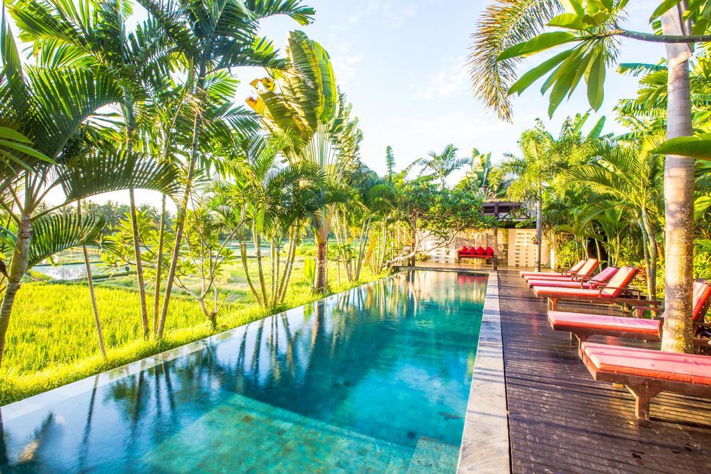 Bali Harmony Villa Ουμπούντ Εξωτερικό φωτογραφία