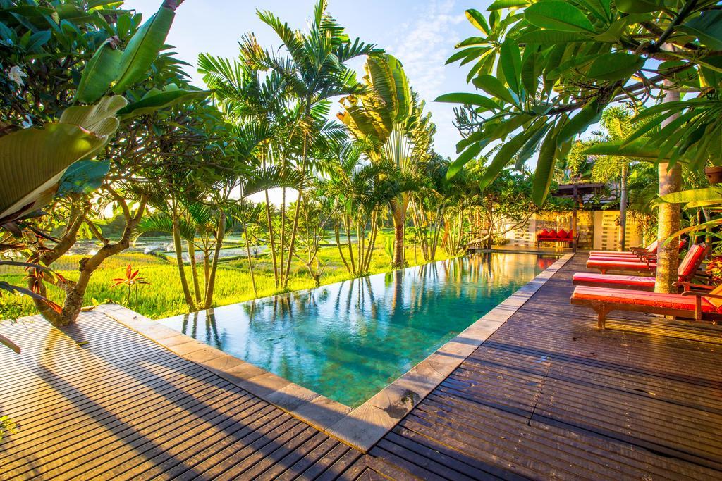 Bali Harmony Villa Ουμπούντ Εξωτερικό φωτογραφία