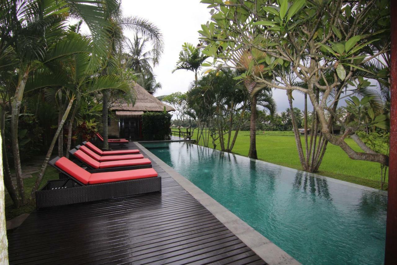 Bali Harmony Villa Ουμπούντ Εξωτερικό φωτογραφία